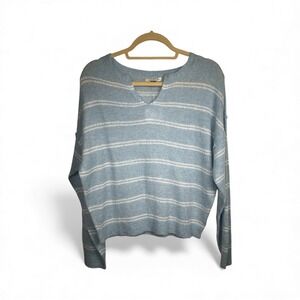 American Eagle Outfitters Striped V Neck Long Sleeve Sweater Light Blue White XS